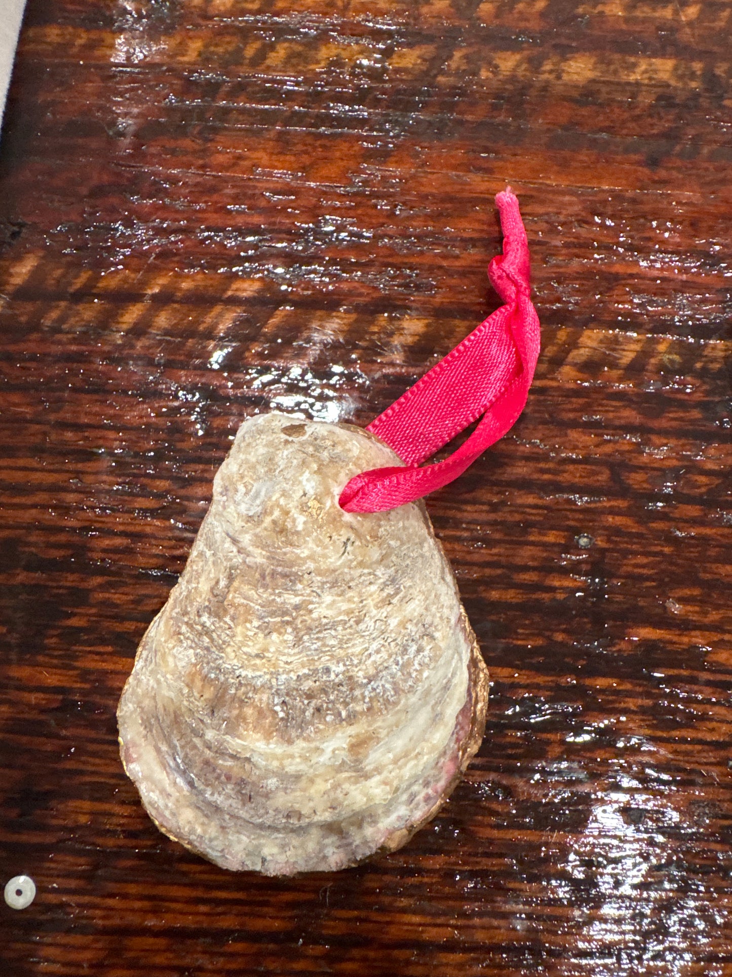 Pink Nutcracker Oyster Ornament