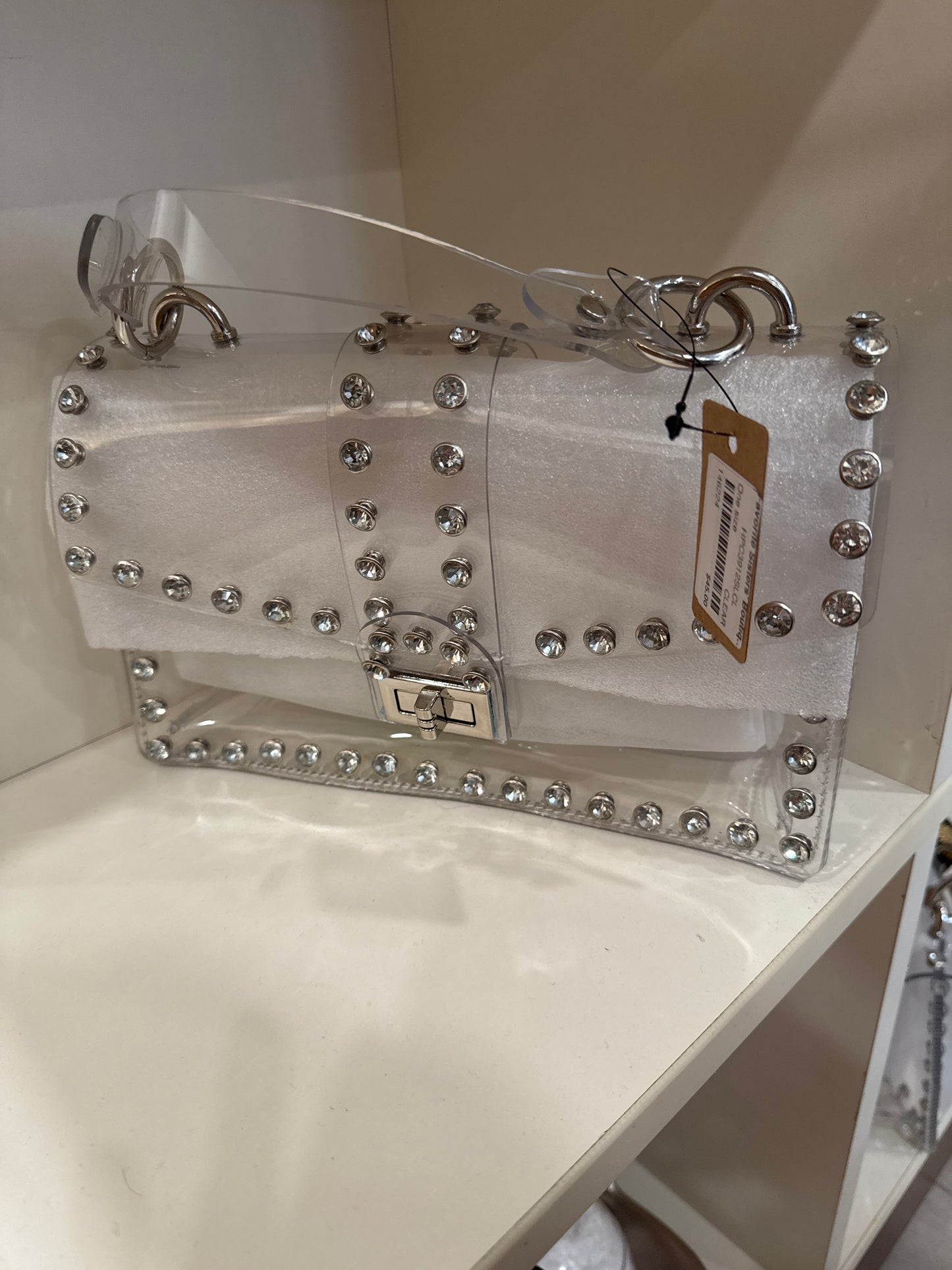 Clear Purse