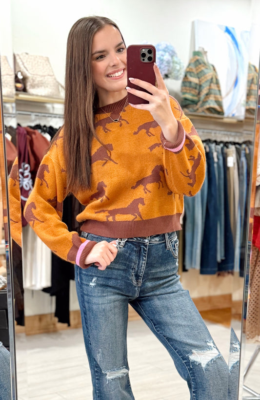 Wild Spirit Sweater