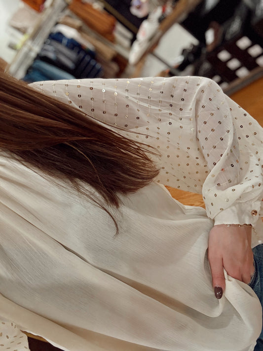 Champagne Glow Blouse